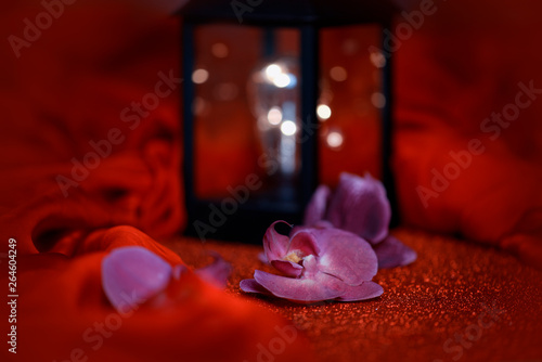 Magic lights and flowers on a red background