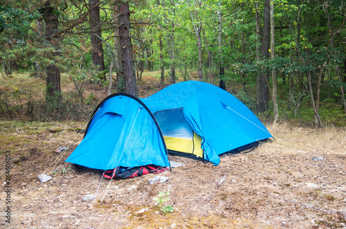 Tent Camping Campsite In The Woods. Wilderness Camping Concept