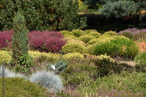 Wallpaper Mural Natur Torontodigital.ca