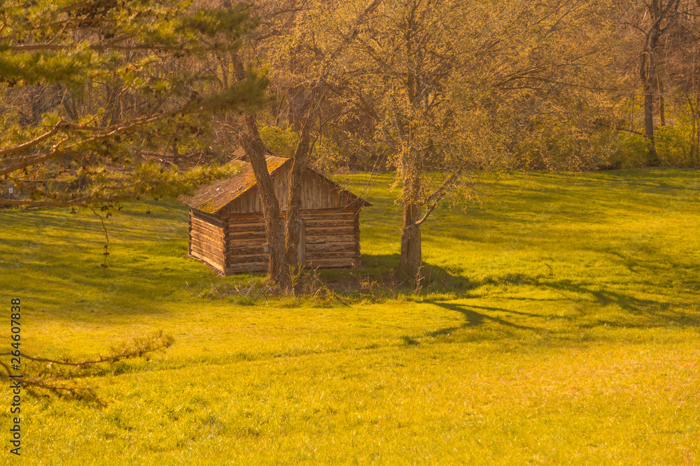 Fototapeta premium Cabin in the valley