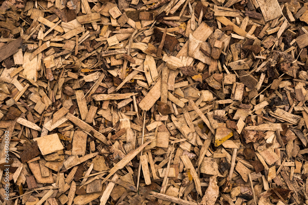 TWood sawdust texture. wood waste. building material. TWood sawdust texture. wood waste. building material.