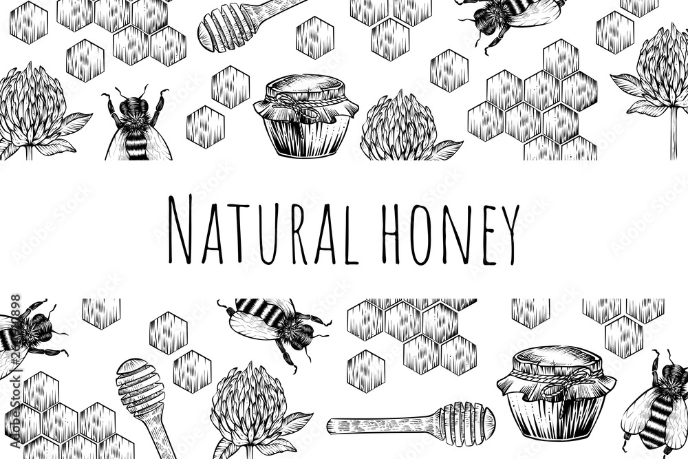 Honey and all related to it things, vector, engraving style, banner