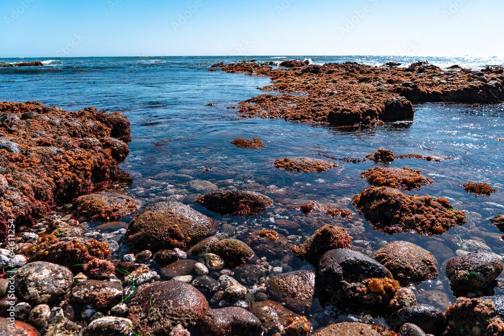 sea and rocks landscape
