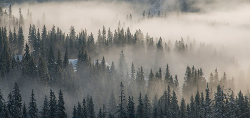 Keuken achterwand Mistig bos Beboste bergtoppen in dichte nevel  © ggaallaa