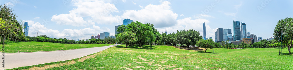 Shenzhen Lianhuashan Park Panorama