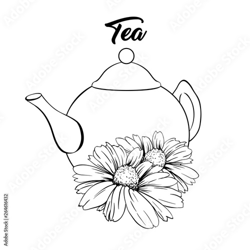 Porcelain or Ceramic Teapot Service. Mint Tea Leaves and Chamomile Flowers. Green Tea Cup. Isolated and Detailed Herbal Therapy Vector Illustration. Banner Design, Restaurant Menu, English Breakfast.