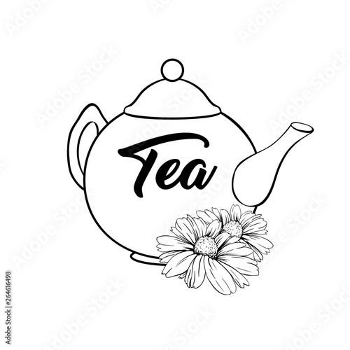 Porcelain or Ceramic Teapot Service. Mint Tea Leaves and Chamomile Flowers. Green Tea Cup. Isolated and Detailed Herbal Therapy Vector Illustration. Banner Design, Restaurant Menu, English Breakfast.