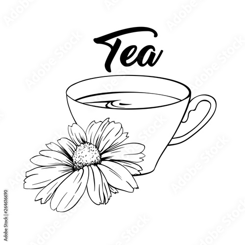 Porcelain or Ceramic Tea Cup. Chamomile or Daisy Flower and Green Tea. Herbal Therapy. Made Tea with Matricaria Loose Herbs. Vector Illustration. Banner Design, Restaurant Menu, English Breakfast.