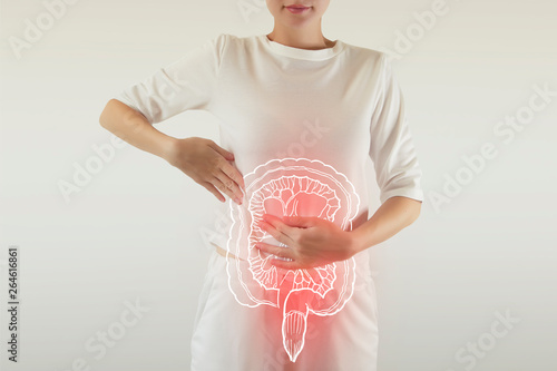 Digital composite of highlighted redinjured or infected intestine of woman photo