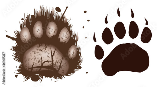 black bear paws muddy