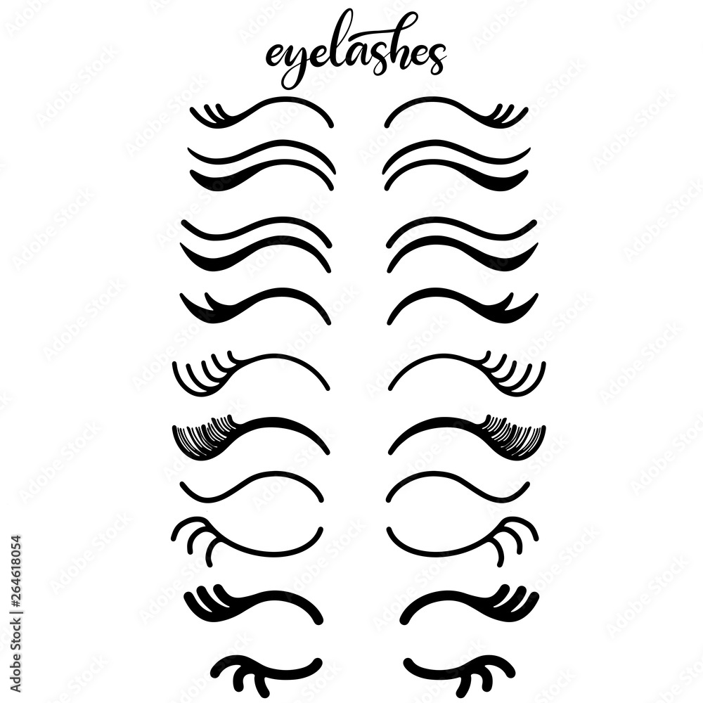 Lashes lettering vector illustration Lashes lettering vector illustration