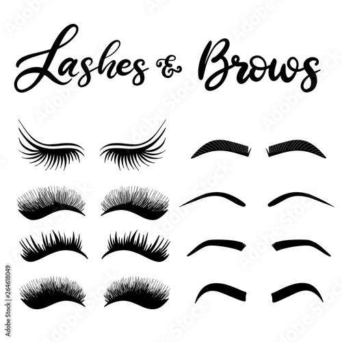 Lashes lettering vector illustration