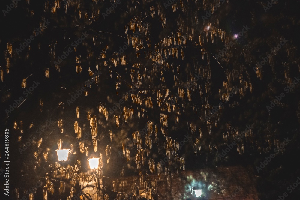 Obraz premium Lanterns in the night