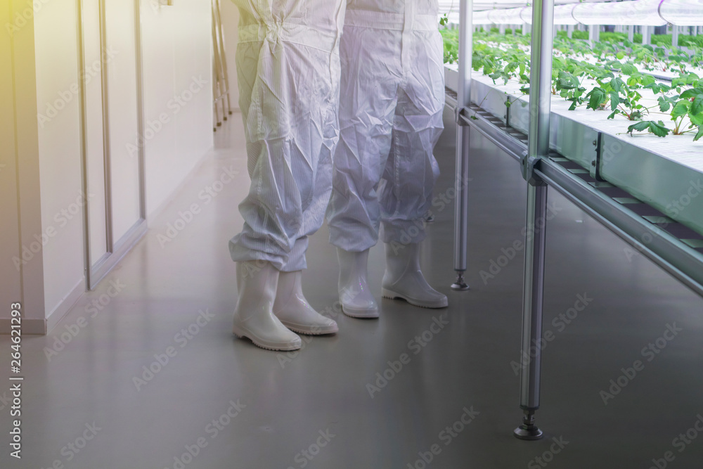 Scientist in clean suit with hydroponic system in laboratory Scientist in clean suit with hydroponic system in laboratory