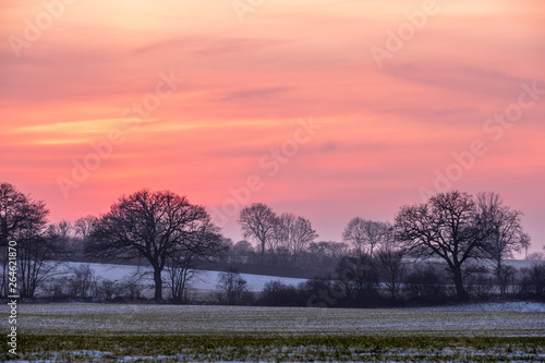 Winterliche Abendstimmung mit kahlen Bäumen, verschneiten Feldern und rot-orangen Sonnenuntergang, Schleswig-Holstein