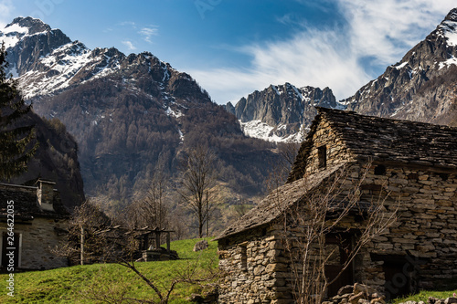 Paesaggio Alpino