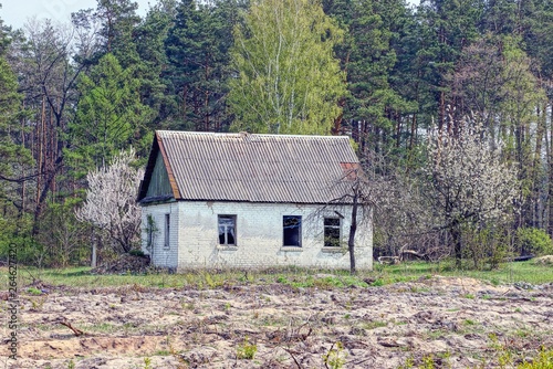 old white abandoned house stands on the edge of the field at the edge of the forest