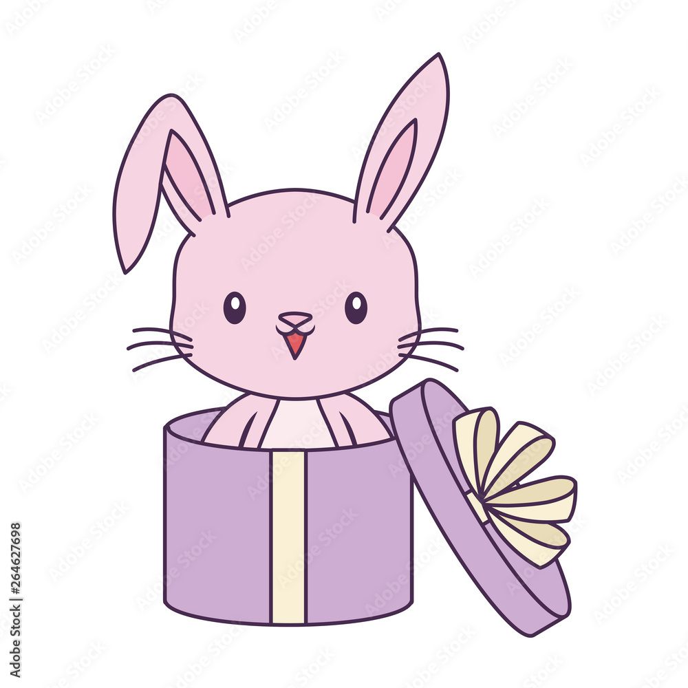 cute rabbit animal in gift box cute rabbit animal in gift box
