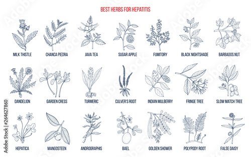 Best herbal remedies for hepatitis