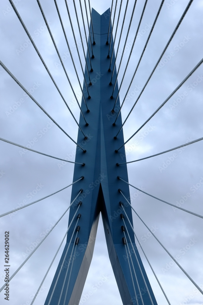 Under the Erasmusbridge  Rotterdam looking up