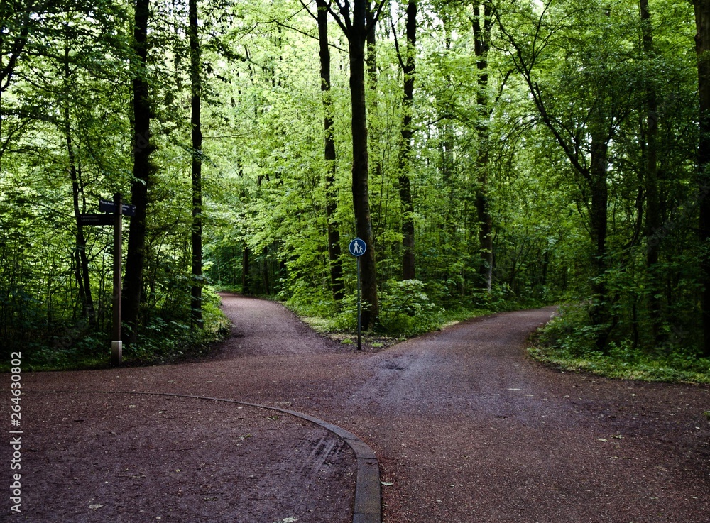 Fototapeta premium Amsterdam park. Holland