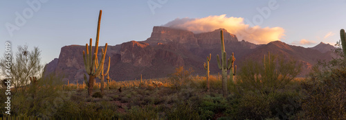 Canvas Print A panorama image of the Superstition Mountains in Arizona in the morning light
