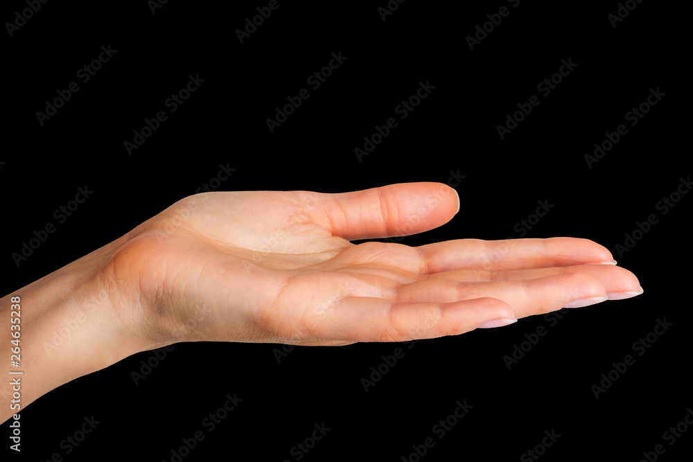 Woman showing open hand or holding something Woman showing open hand or holding something