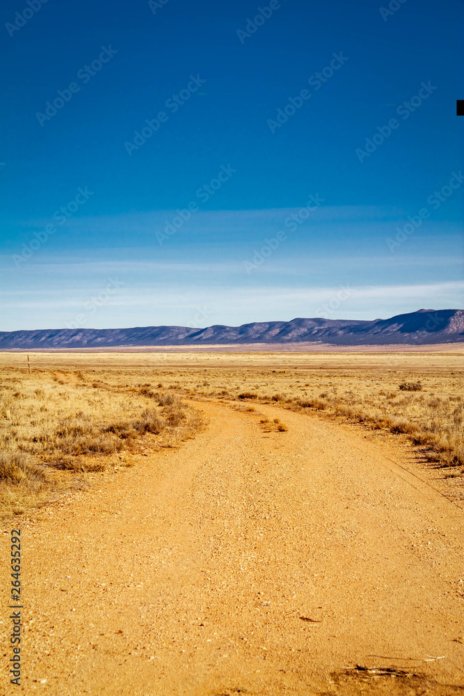 A dirt road in the desert that curves as it moves away from the viewer.
