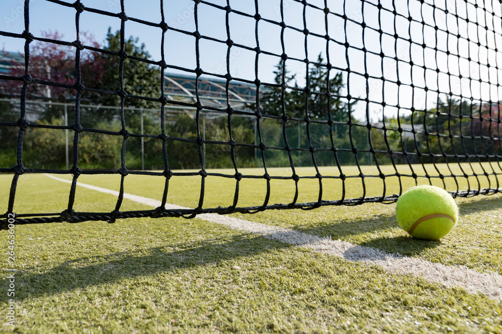 tennis ball on the grass