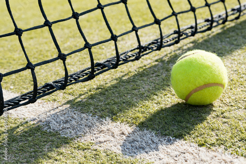 tennis ball on the grass