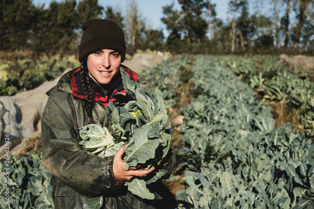 Smiling woman standing in field, holding blue crate with freshly harvested cauliflowers, looking at camera. Smiling woman standing in field, holding blue crate with freshly harvested cauliflowers, looking at camera.
