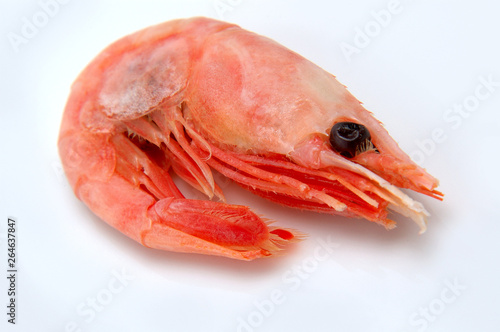 Shrimps isolated on a white background, top view