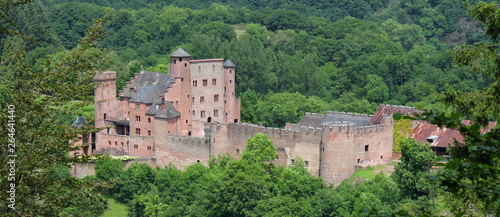 Fotografie, Obraz Medieval castle of Hamm in the Eifel forest, Germany