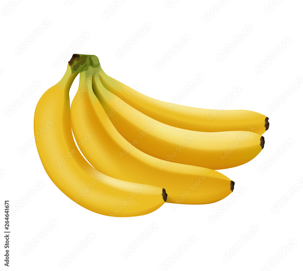 Realistic vector banana, branch of bananas isolated Realistic vector banana, branch of bananas isolated
