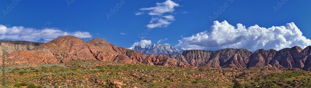 Fototapeta premium Views of Red Mountain Wilderness and Snow Canyon State Park from the Millcreek Trail and Washington Hollow by St George, Utah in Spring bloom in desert. United States.