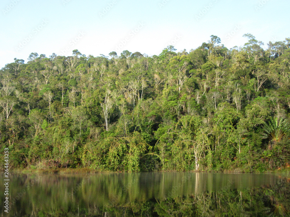 Low hills covered with dense jungle with reflection in small lake during early morning near Andasibe-Mantadia National Park (Perinet), Madagascar