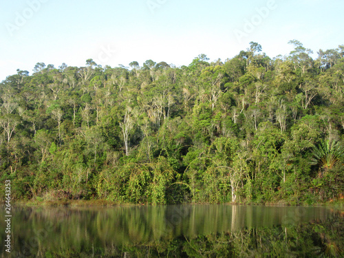 Low hills covered with dense jungle with reflection in small lake during early morning near Andasibe-Mantadia National Park  Perinet   Madagascar