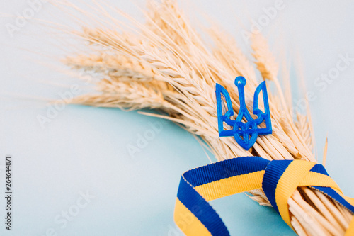 Ukrainian background with national symbols, Coat of arms trident, yellow and blue ribbon, golden wheat spikelets on blue. 2019 Ukrainian presidential election photo