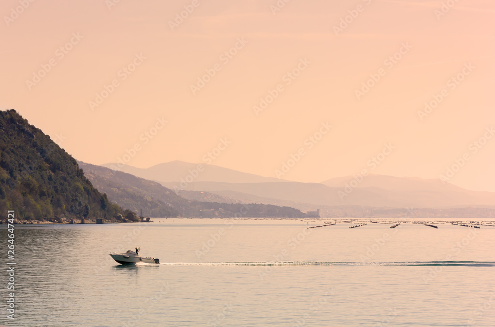 Motorboat on the Adriatic Coast near Trieste