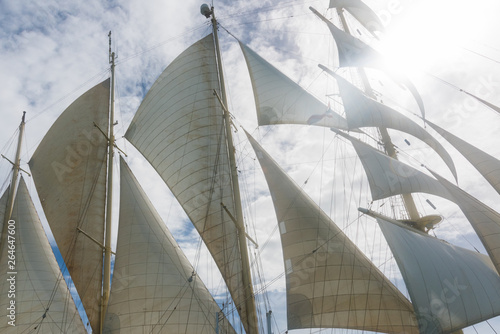 Open sails of the clipper boat