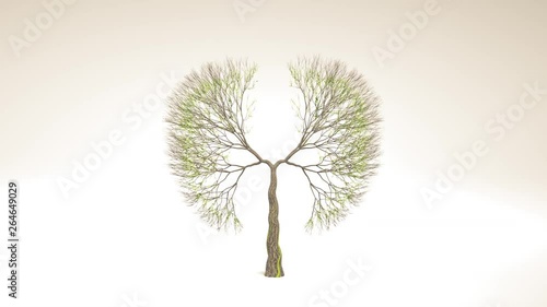 Lungs of the Earth. Growing tree in the shape of Lungs. Eco Concept. Save the World. 3D rendering. photo