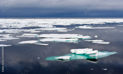 Drift ice on the arctic sea north of Svalbard. © AGAMI