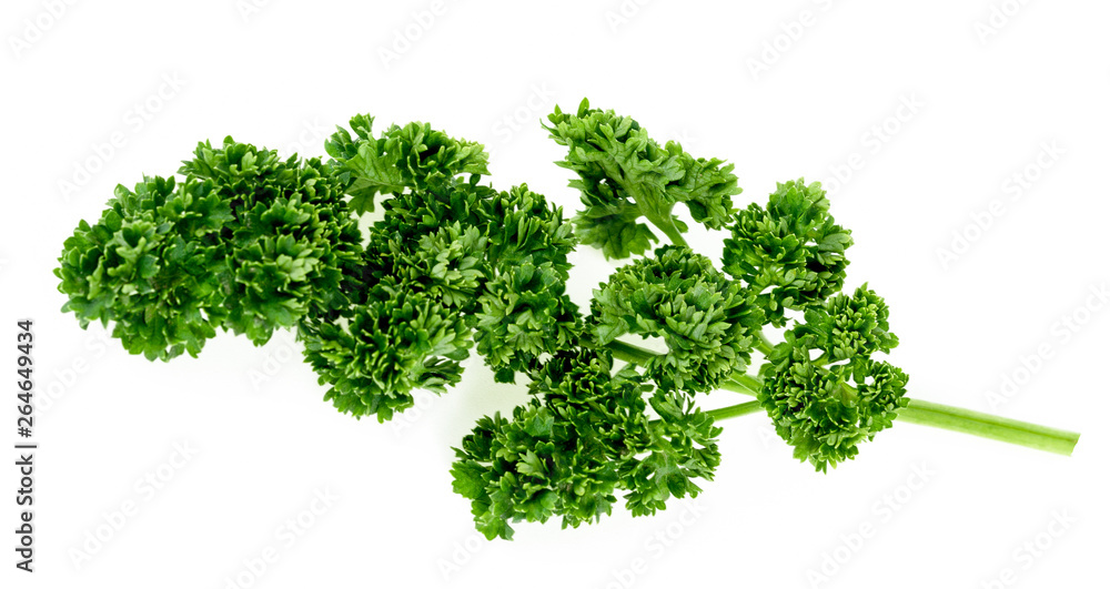 Parsley isolated on white background Parsley isolated on white background