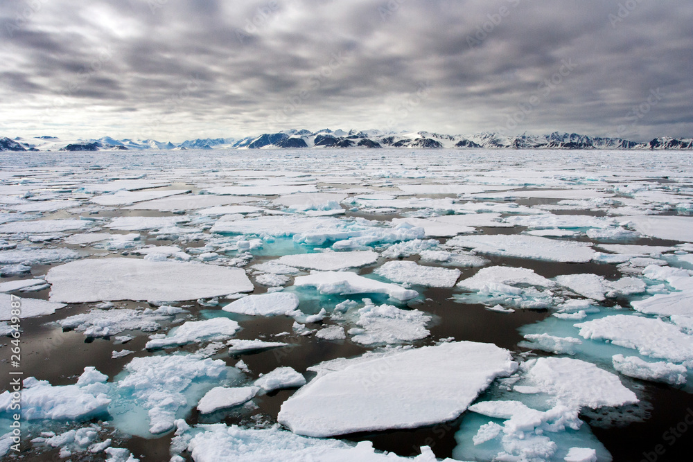 Drift ice on the arctic sea north of Svalbard.