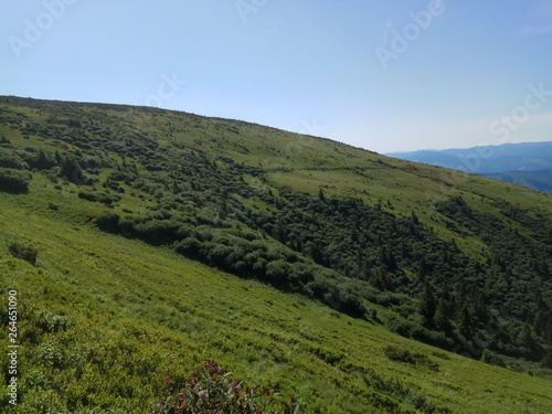 IMG_20170710_102839