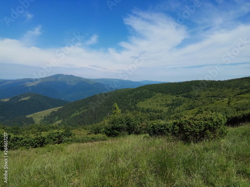 IMG_20170710_105248