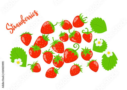 Strawberry vector with leaves and flowers. Set of berries on a white background