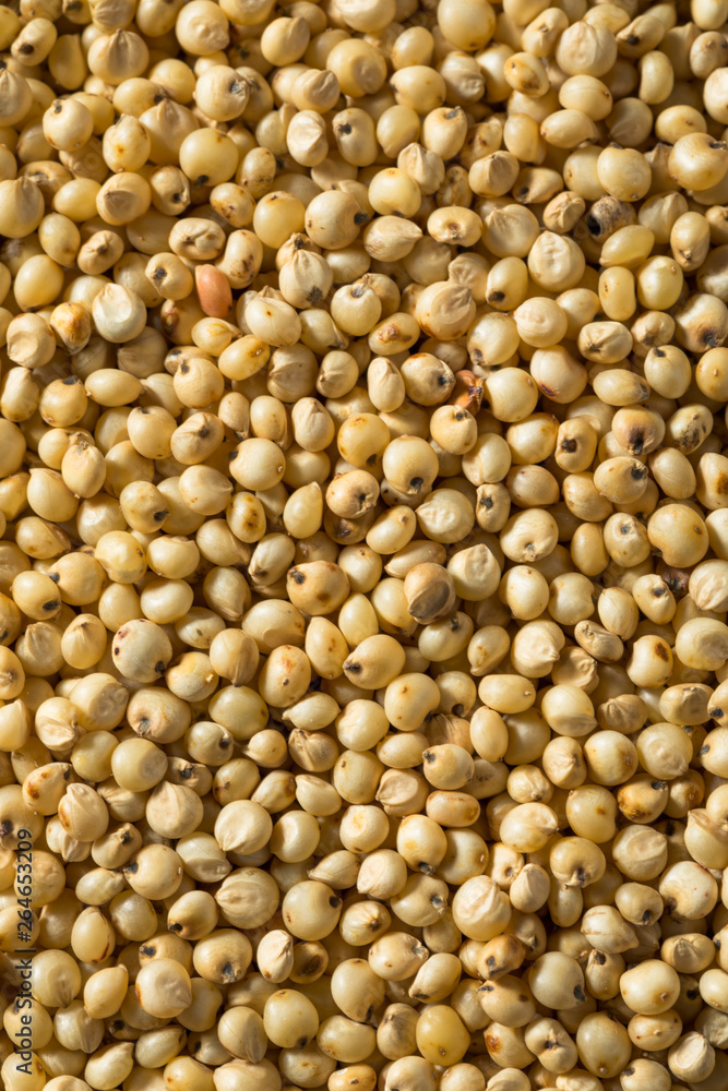 Raw Organic Sorghum Grain Raw Organic Sorghum Grain