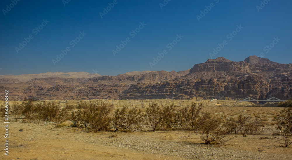 desert valley panorama scenery landscape with dry plant bushes on a sand and bare sand stone mountain ridge background 