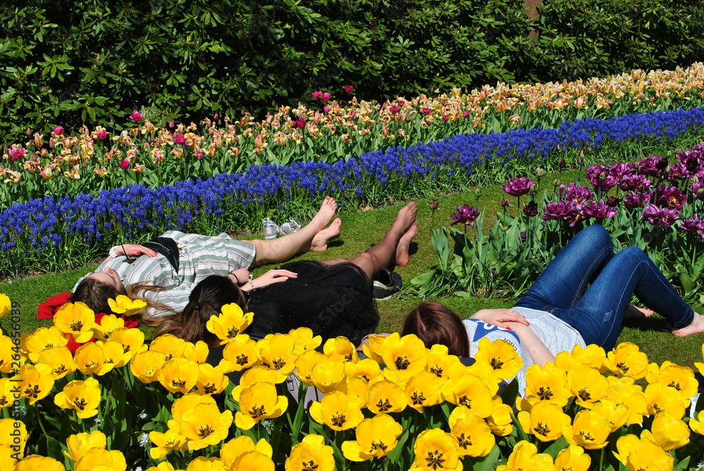 Obraz premium Relaks w ogrodzie